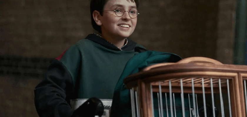 Junger Zauberschüler Harry Potter mit runder Brille und dunklem Umhang lächelt neben einem Käfig mit einer weißen Eule in einer Hogwarts-ähnlichen Umgebung.