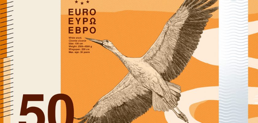Designvorschlag für den neuen 50-Euro-Schein der EZB mit einem fliegenden Weißstorch auf orangefarbenem Hintergrund sowie den typischen Euro-Elementen und der Wertangabe „50“.