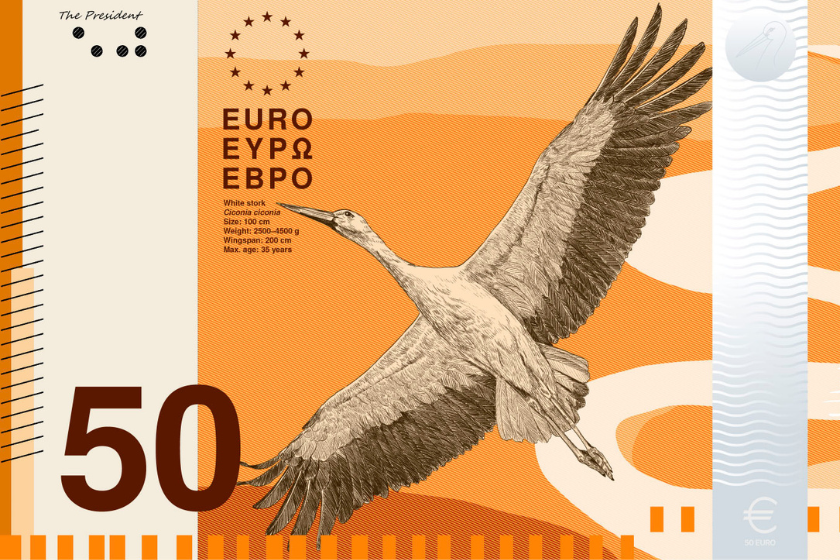 Designvorschlag für den neuen 50-Euro-Schein der EZB mit einem fliegenden Weißstorch auf orangefarbenem Hintergrund sowie den typischen Euro-Elementen und der Wertangabe „50“.